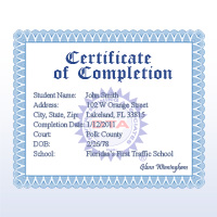 Florida BDI completion certificate
